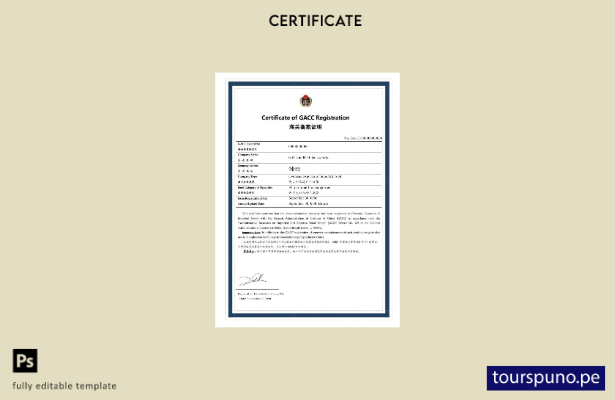 listo para imprimir Plantilla de muestra PSD del Certificado de registro GACC de